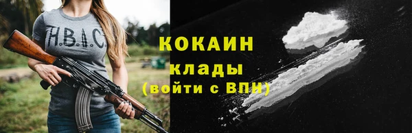 мдпв Верхний Тагил