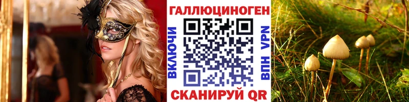 Галлюциногенные грибы Cubensis  Петрозаводск 